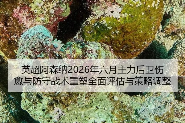 ying-chao-a-sen-na-nian-liu-yue-zhu-li-hou-wei-shang-yu-yu-fang-shou-zhan-shu-zhong-su-quan-mian-ping-gu-yu-ce-lve-tiao-2-753.jpg