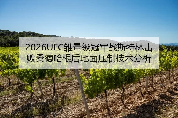 2026UFC雏量级冠军战斯特林击败桑德哈根后地面压制技术分析
